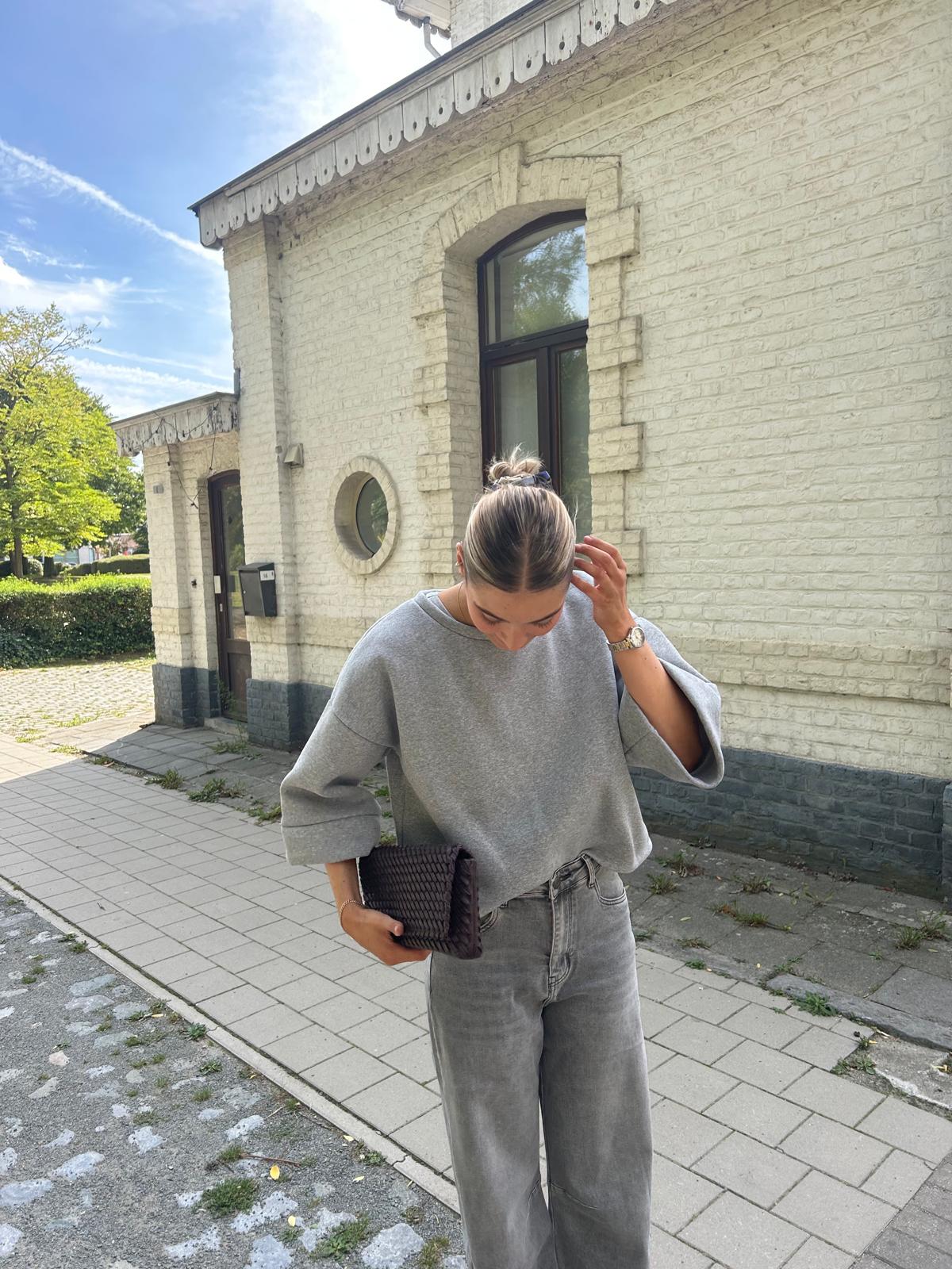 Grey sweatshirt