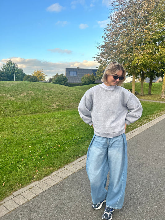 Balloon Sleeve Sweatshirt